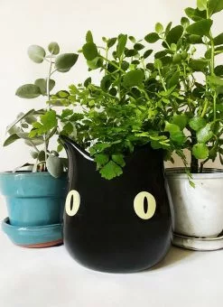 Valfré New Bruno Ceramic Planter